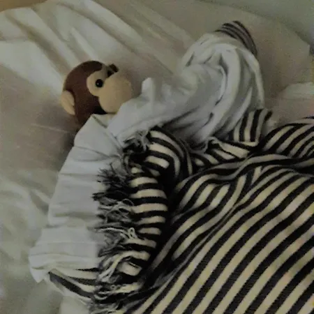 Santander Central Hostel * Σανταντέρ