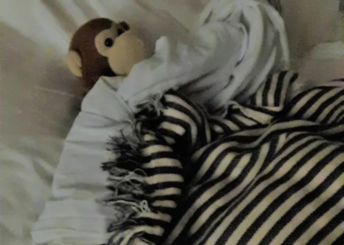 Santander Central Hostel * سانتاندر